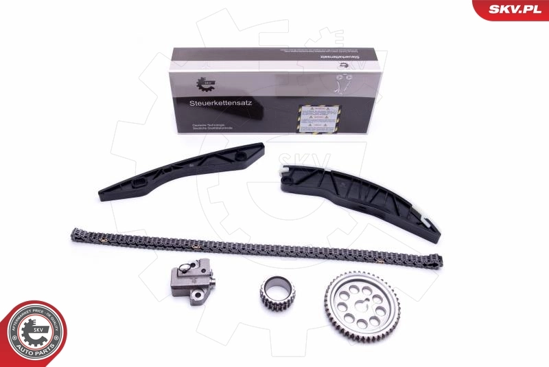 Timing Chain Kit
